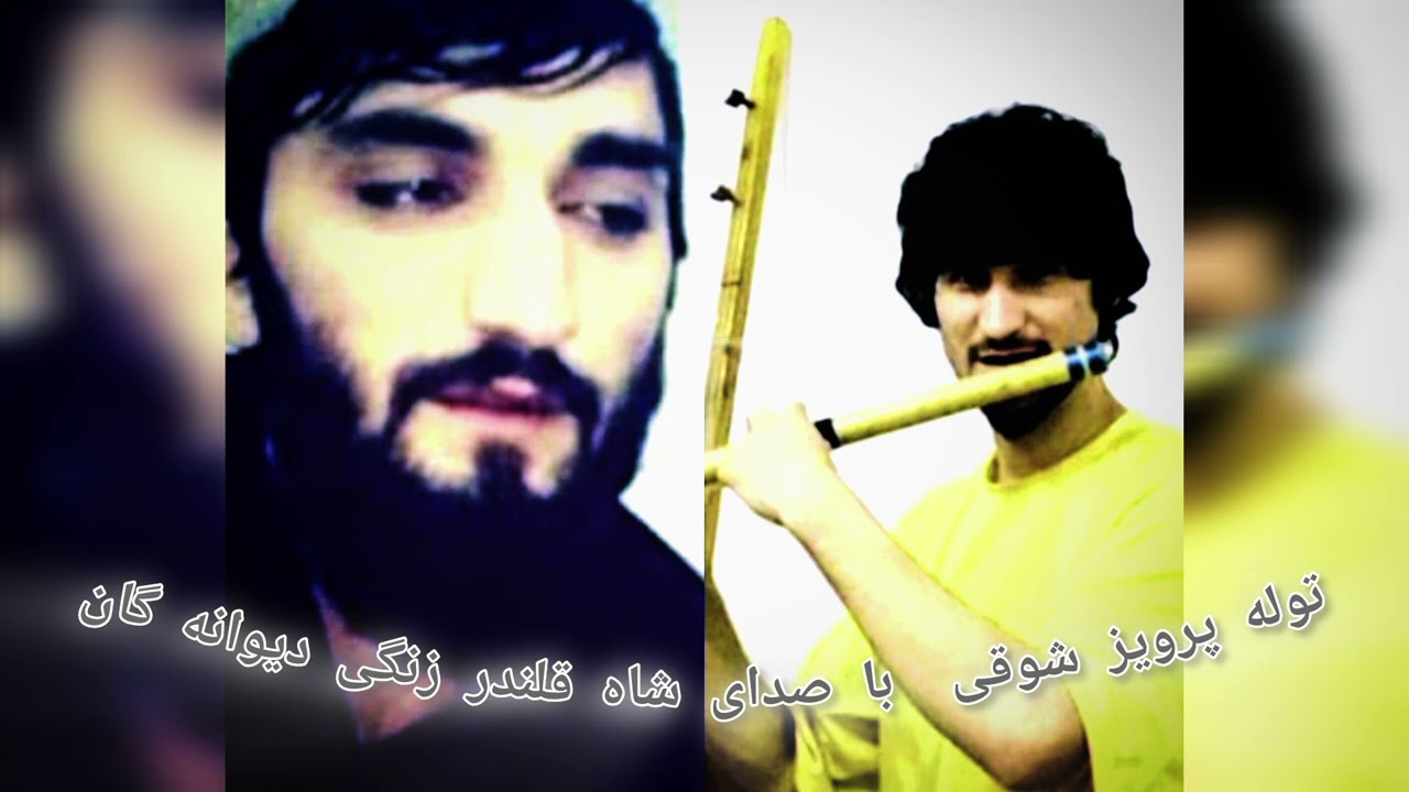 توله جدید مسافری پرویز شوقی همراه شاه قلندر زنگی دیوانگان