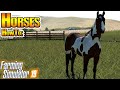 Horses in Farming Simulator 19 - How To in FS19 Horses in Farming Simulator 19 - How To in FS19