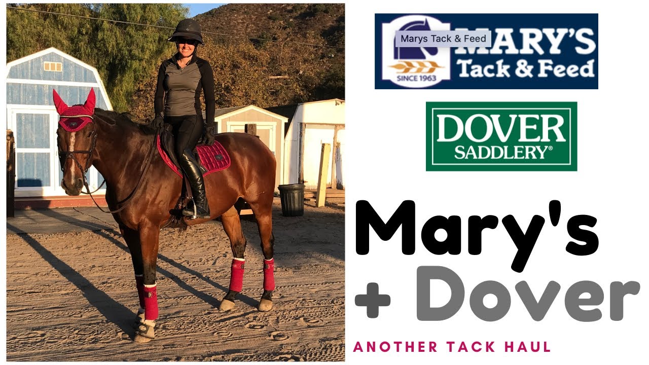 Tack Haul Dover Saddlery and Mary's Tack sept. 2019 YouTube
