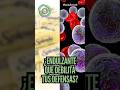 Este endulzante podría reducir la efectividad de terapias inmunes 😳  #scienceshorts #sabiasque