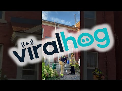 Cat Jumps Out Of Firefighter S Arms While Being Rescued ViralHog