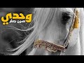 وحدي حسين جعفر 