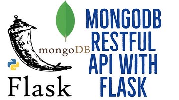Using MongoDB with Flask Rest API
