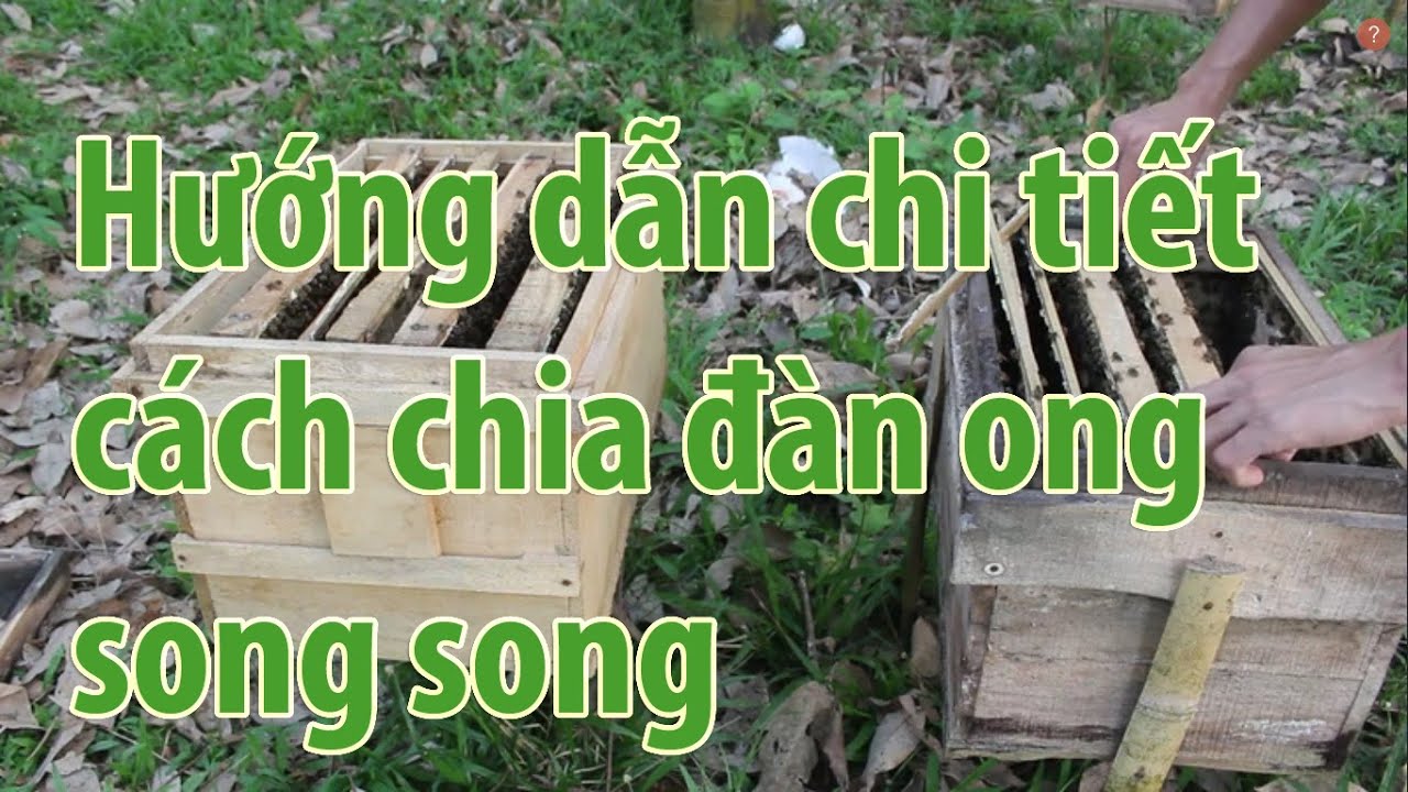 Hng dn chi tit cch chia n ong song song