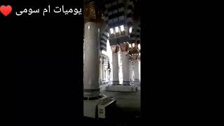 تصوير فيديو من عند الرسول ربنا يرزق كل مشتاق ♥️♥️