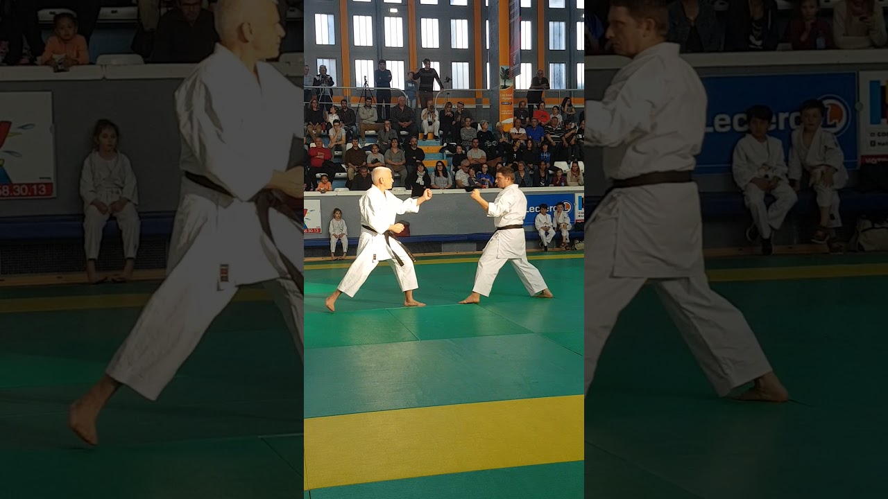 Gala des Arts Martiaux Narbonne 2018 n°3 YouTube