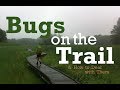 Bugs On the Trail & How to Deal with Them