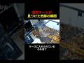 深夜の謎の音の正体!救助チームが見つけた奇跡の瞬間