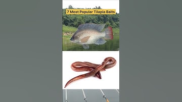 Umpan Ikan Nila Paling Populer #shorts #memancing #umpanpancing #tutorial