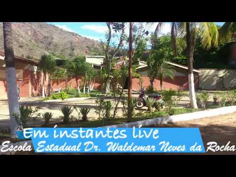 Live Escola Estadual Dr. Waldemar Neves da Rocha