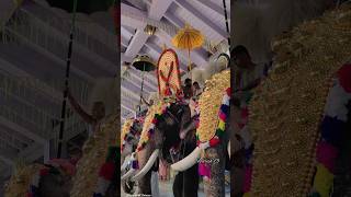 അമ്പാടി കണ്ണന്റെ പ്രതിഷ്ഠ ദിനം | Thiruvambady Prathishta Dinam | Thiruvambady Kannan | HARISH G