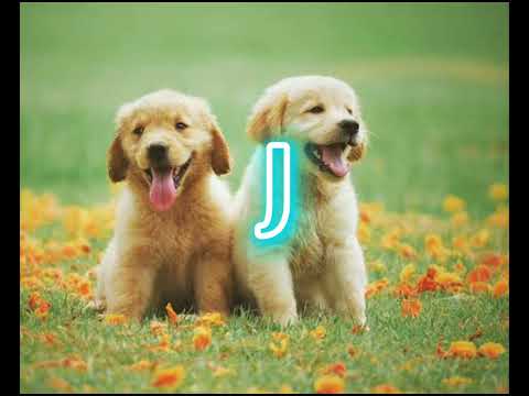 Cante se já gostou de algumas dessas iniciais (Tik Tok) pt1
