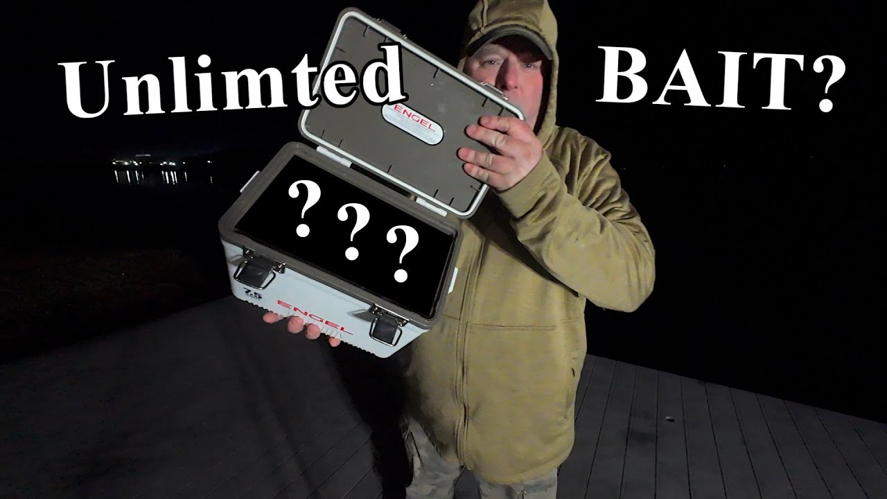 Неограниченное количество приманки для сома из моего домашнего бака? (Двойной улов при рыбалке с ...