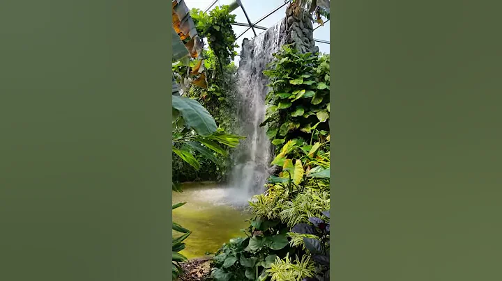 Topeka Zoo Rainforest Waterfall