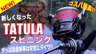 ダイワ タトゥーラ FC LT2500SS-H-QD 23年モデル - 釣具の