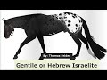 Gentiles or hebrew israelites by thomas felder  feb 2023