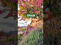 SPAIN 📍La Vall d'Uixo #spainescape #lavallduixo #comunidadvalenciana #movetospain
