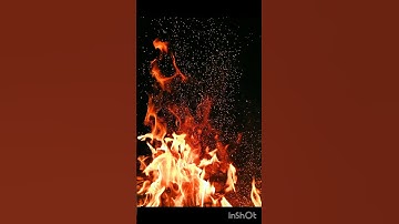 سوره المجادله من الآية 19 إلى الآية 21#سورة_المجادلة#حزب_الشيطان#دين