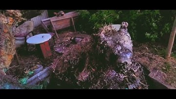 The Hyaenic Intrusion: Life-Sized Ruptures in the Homogeneous