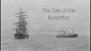 "We, the Drowned" and the Tale of the Butterflies