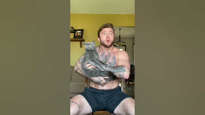The cat's face + his vocals are everything 😻 #shorts | Cover by Garett Nolan