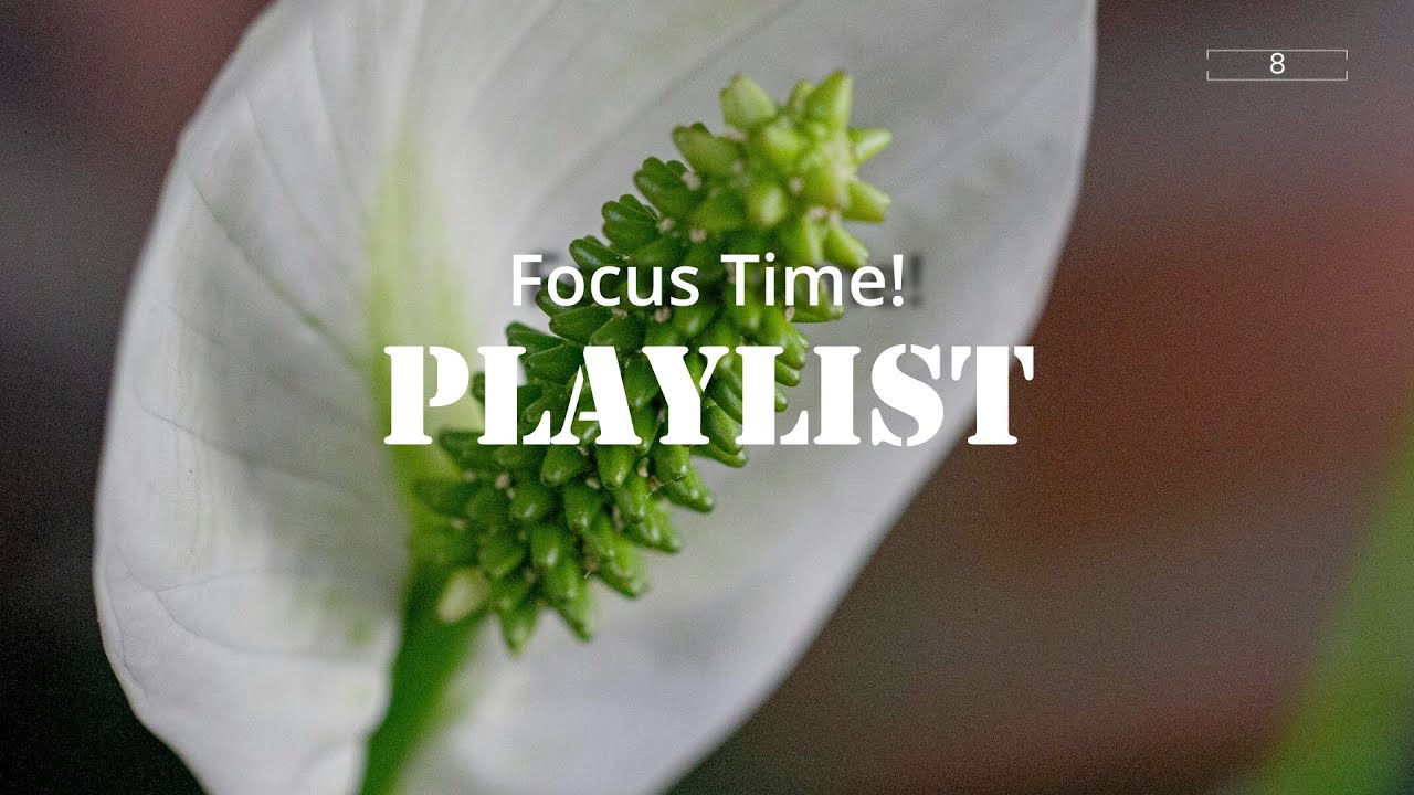 Peace Lily: Can Music Really Improve Your Focus? I Tried it for 60 Days