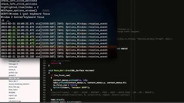 sdl2 window management system