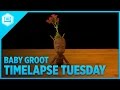 3D Printing Baby Groot - Timelapse Tuesday