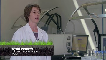 Skalar | on Dutch Television