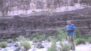 The cambrian explosion