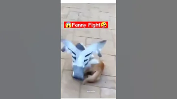 Fanny Fanny Fight New VIdeo Shortsvideo Trendingshort Fannymontage Fantasy Fannyvideo Figh 