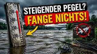 Die große Wasserstands-Lüge: Warum Sie bei steigendem Pegel wirklich schneidern!