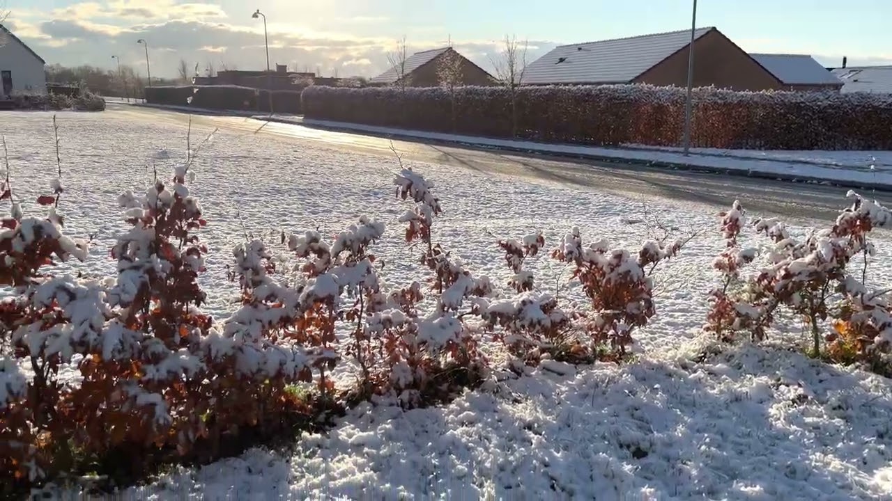 Snow in Denmark 2023