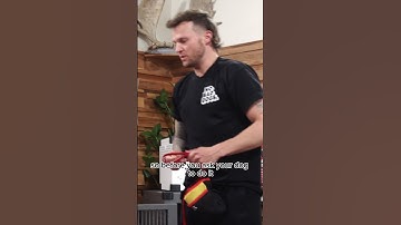 Crate training 101 with @tomdavisofficial