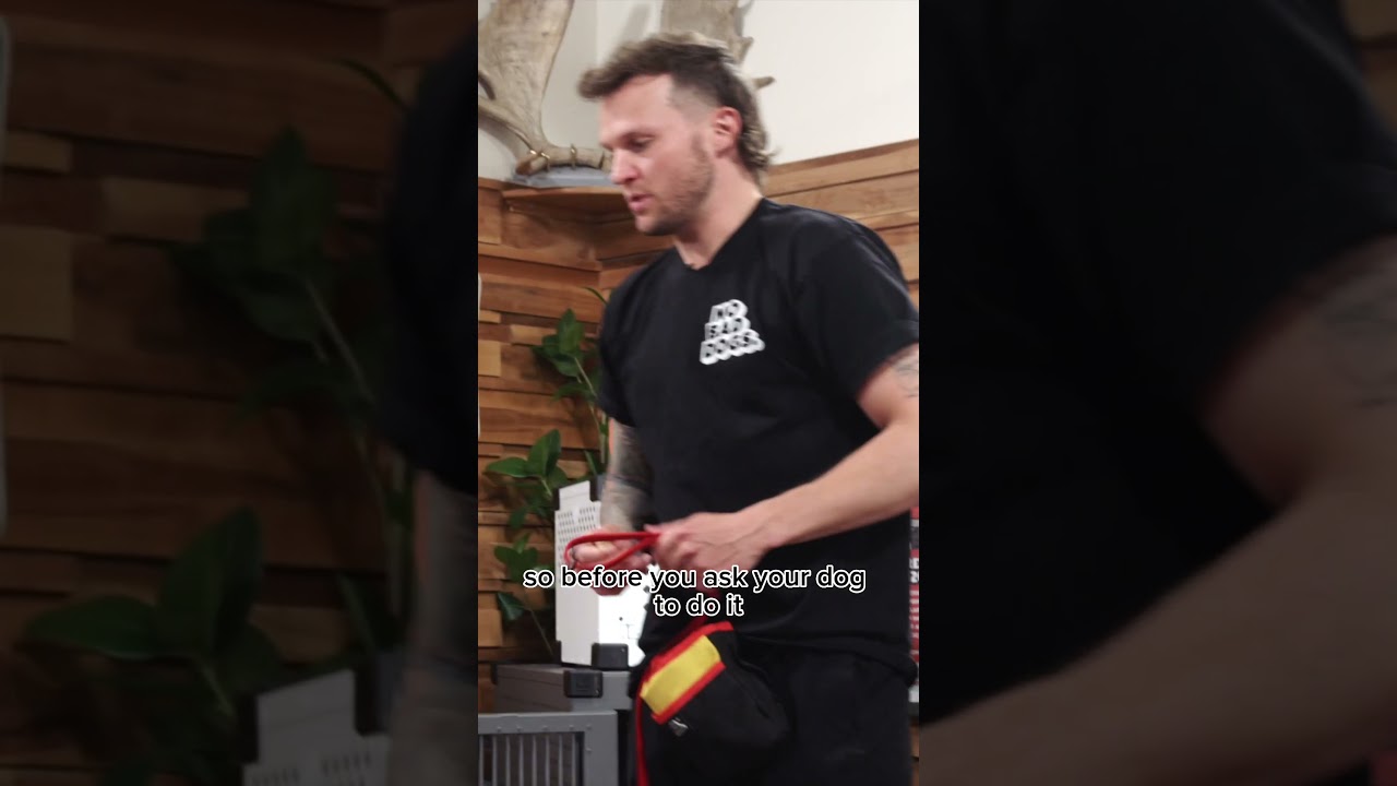 Crate training 101 with 