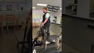 How I Walk My Dog vs Everyone Else 😂