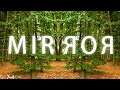 Mirror Forest Walk | Mystical Forest Music | Psychedelic ASMR Atmosphere