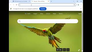 Aprenda a programar! Criar IDE do zero! Programar html css javascript python