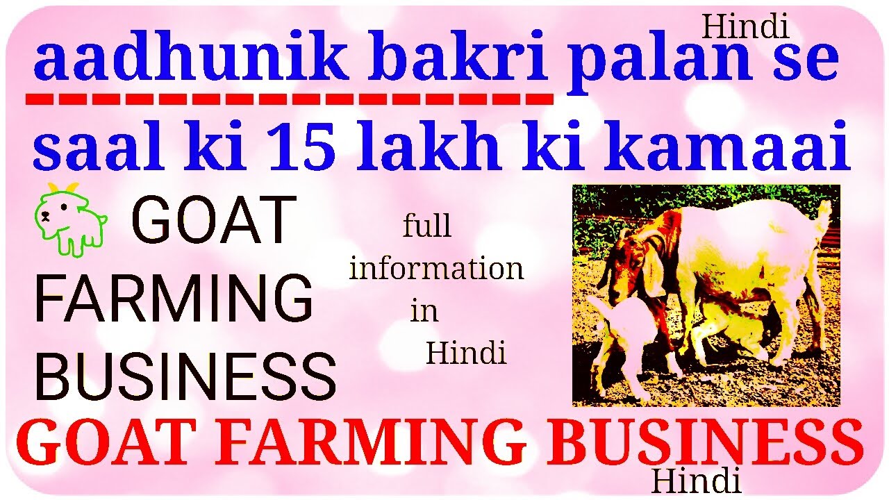 goat farming business plan in hindi