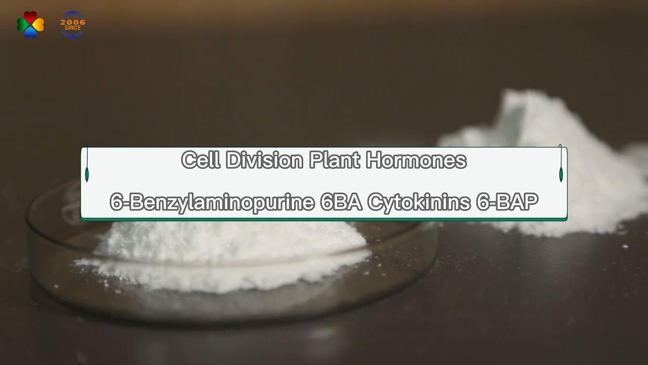 6ba video - YouTube