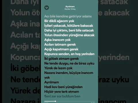 Serdar Ortaç ~