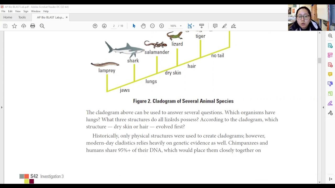 BLAST Lab Part I YouTube