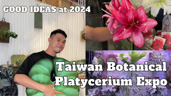 GOOD IDEAS at 2024 Taiwan Botanical Platycerium Expo台湾艸植感展 4K resolution - 天天要闻