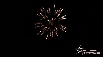 0402541 - 5" Time Rain Willow