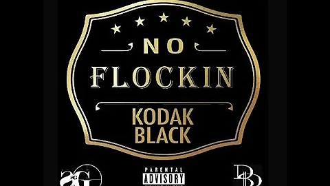 Kodak Black- No Flockin (852hz)