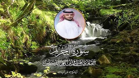 من ليالي رمضــ 1442ــــان سورة التحريم القارئ هيثم الدخين