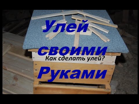 Ульи дадан своими руками чертежи размеры Ульи дадан своими руками чертежи размеры