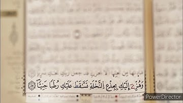 إذا قضى أمرا فإنما يقول له كن فيكون || تلاوة هادئة من سورة مريم || رعد محمد الكردي