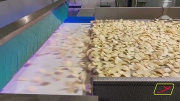 Curiosity: #sorting solution for #chips | RAYTEC VISION SpA