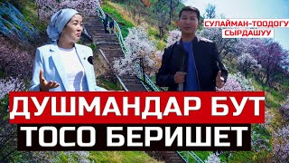 Нуркыз Кадырбек кызы:Жолдошум баламдын классын  билбейт//Ийгиликтүү айымдын Сулайман-Тоодогу маеги